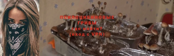 гидропоника Армянск