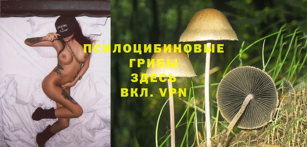 гидропоника Армянск