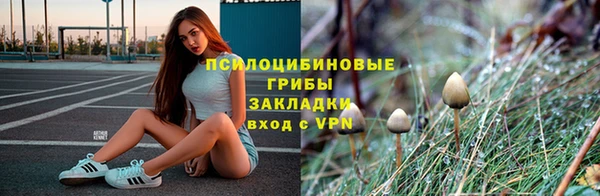 apvp Аркадак