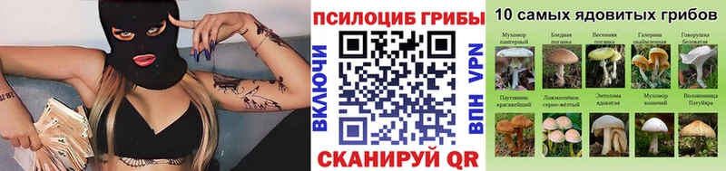 Галлюциногенные грибы GOLDEN TEACHER  дарк нет как зайти  Сланцы 